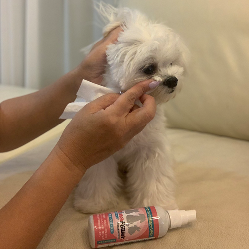 ミナパワー ペット　minaPower使用方法３