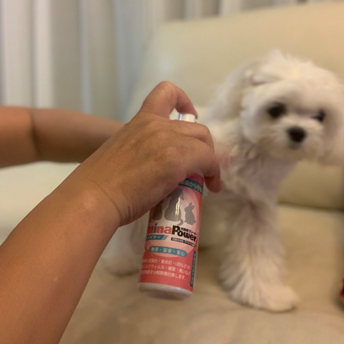 ミナパワー ペット　minaPower使用方法１