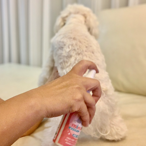 ミナパワー ペット　minaPower使用方法２